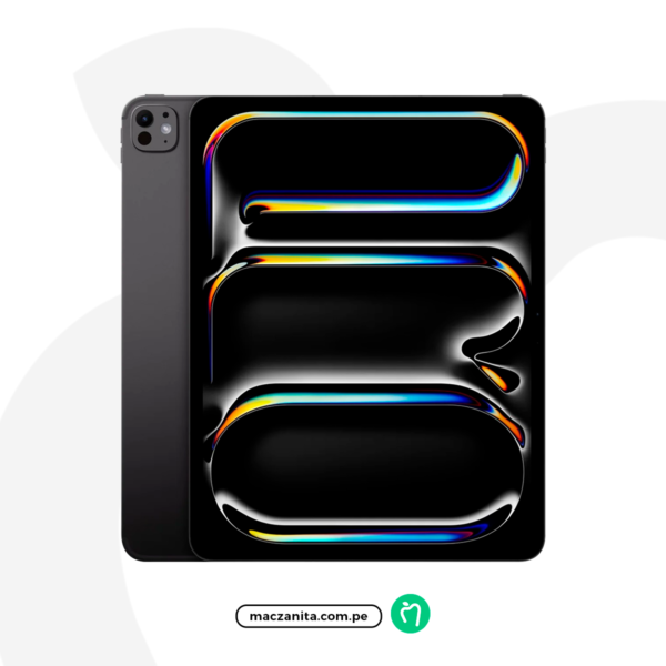 iPad Pro M5 13" Negro