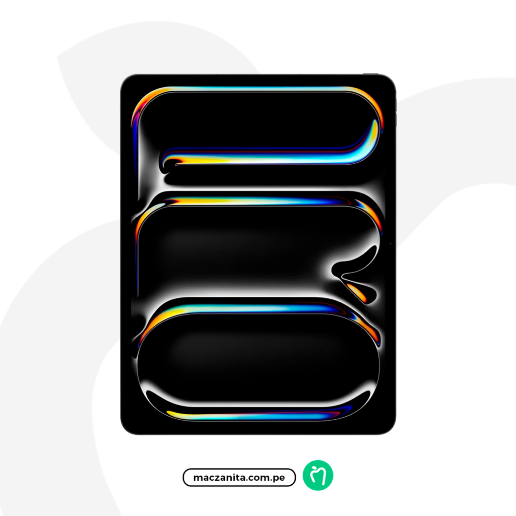 iPad Pro M5 13" Negro