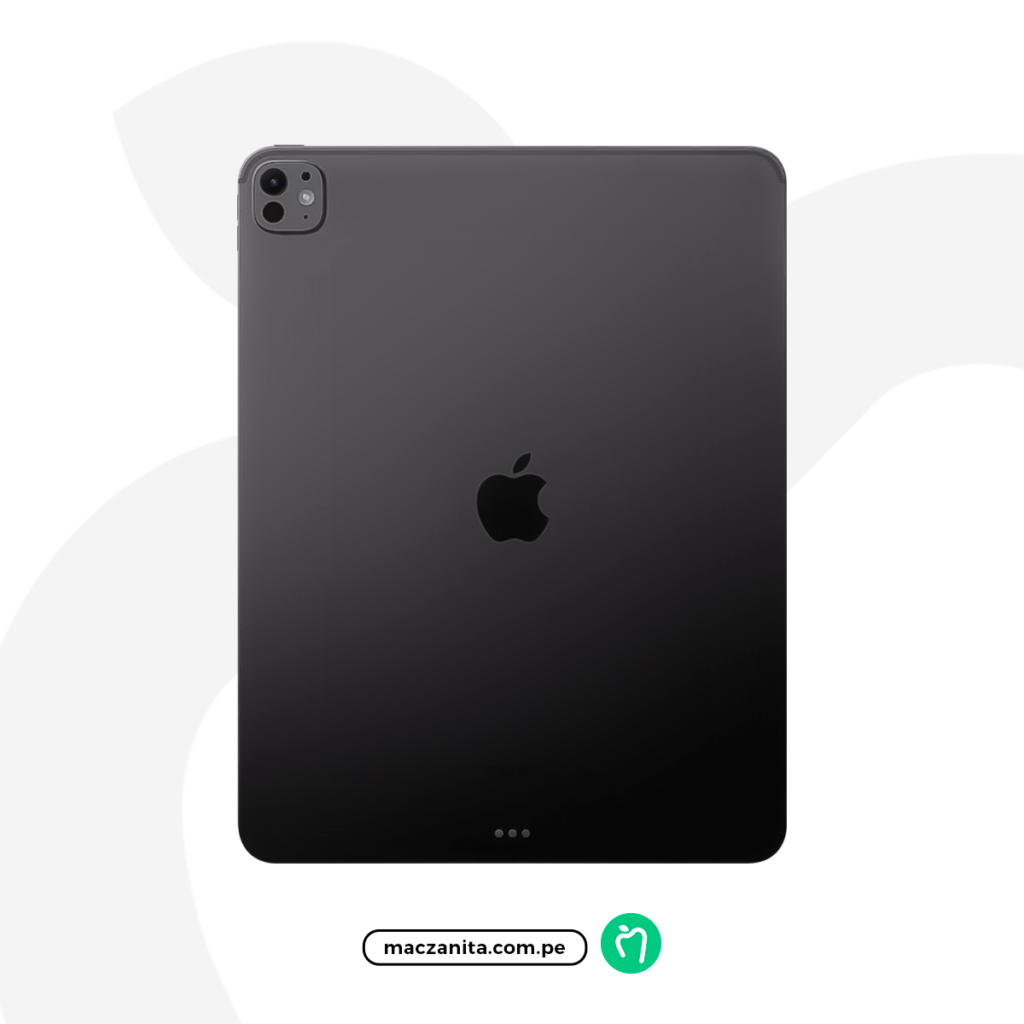 iPad Pro M5 13" Negro