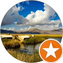 朱博 profile picture